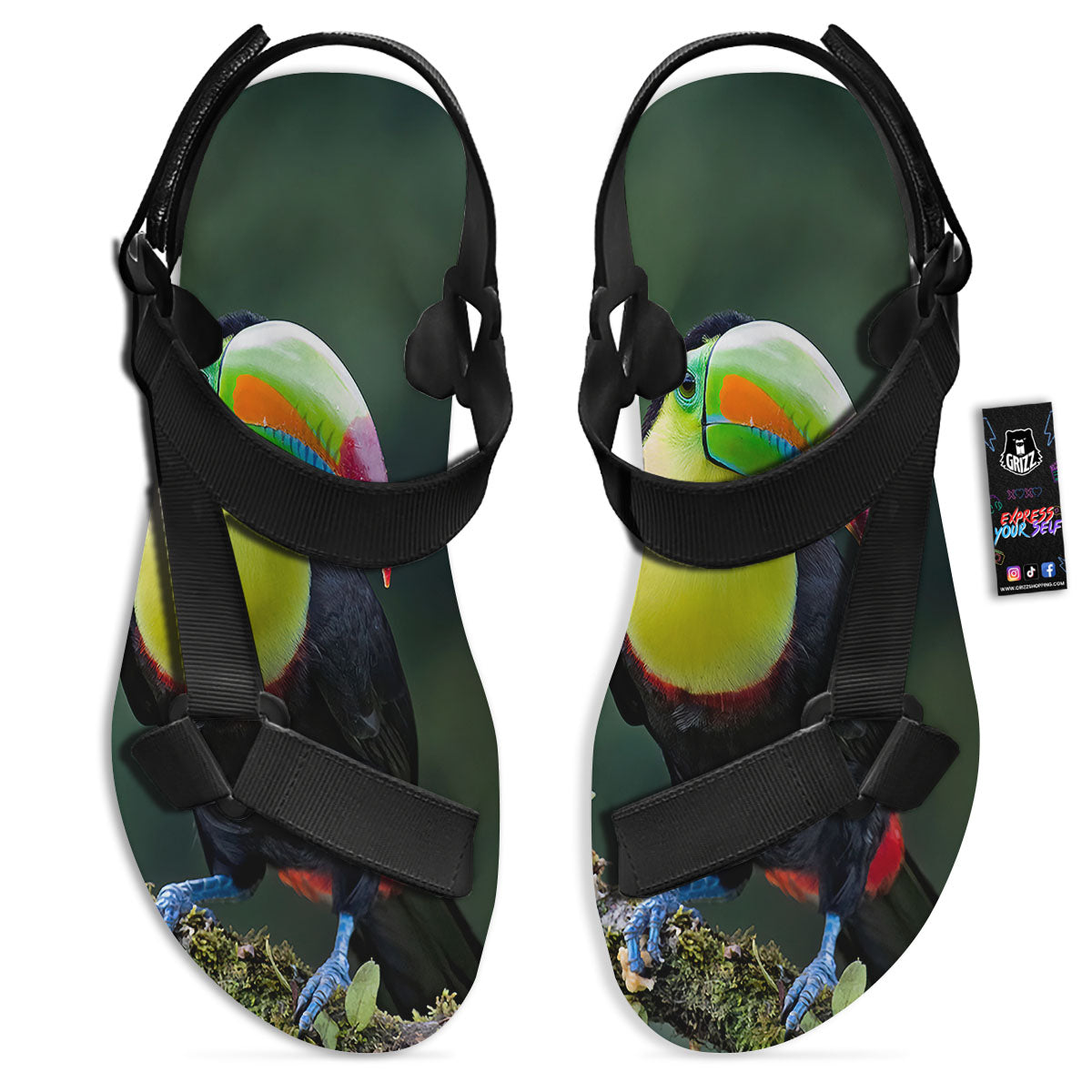 Keel-Billed Toucan Print Black Open Toe Sandals-grizzshop
