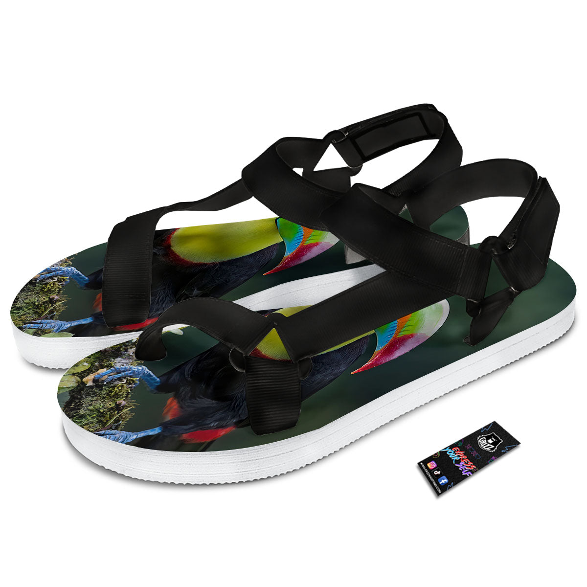 Keel-Billed Toucan Print Black Open Toe Sandals-grizzshop