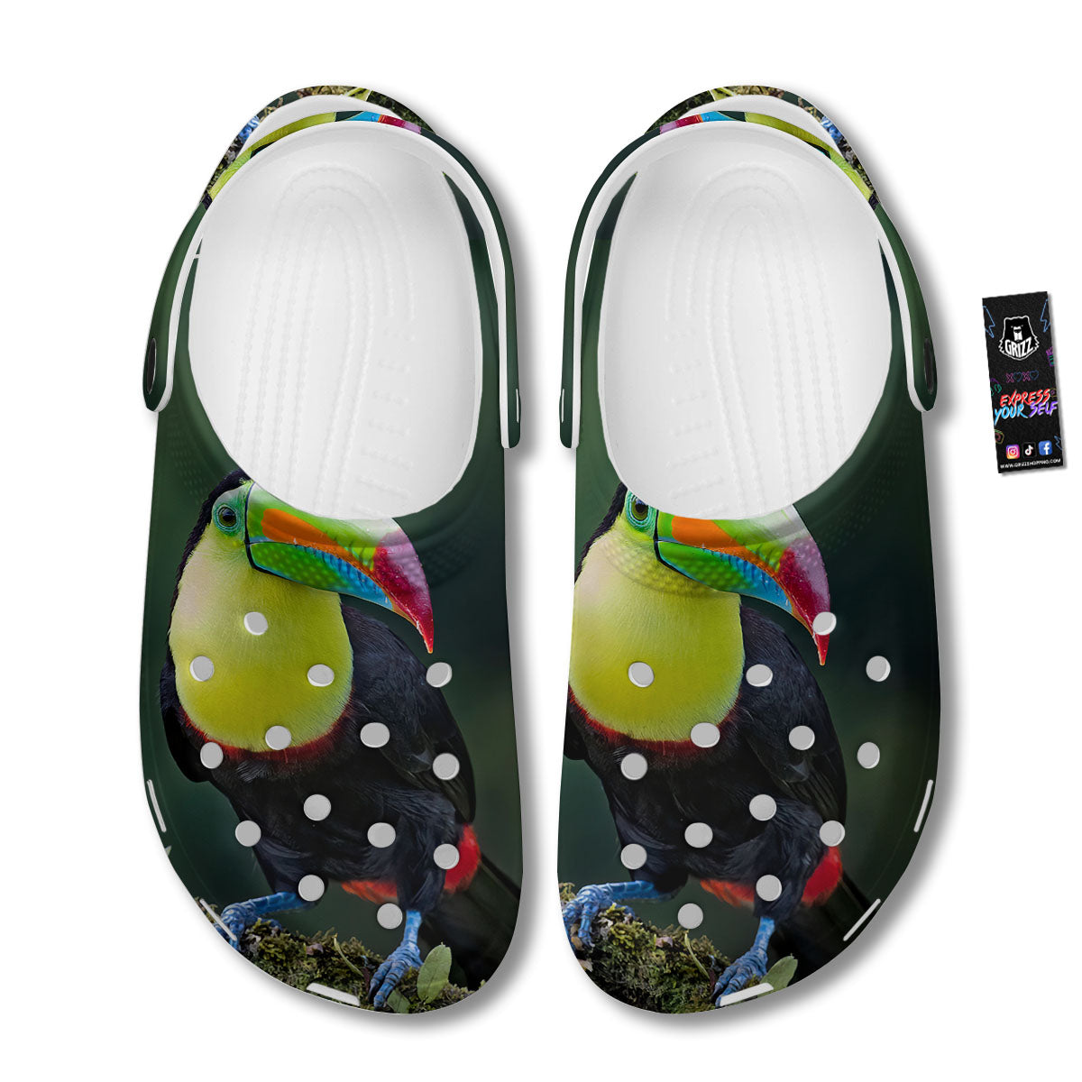 Keel-Billed Toucan Print Clog-grizzshop