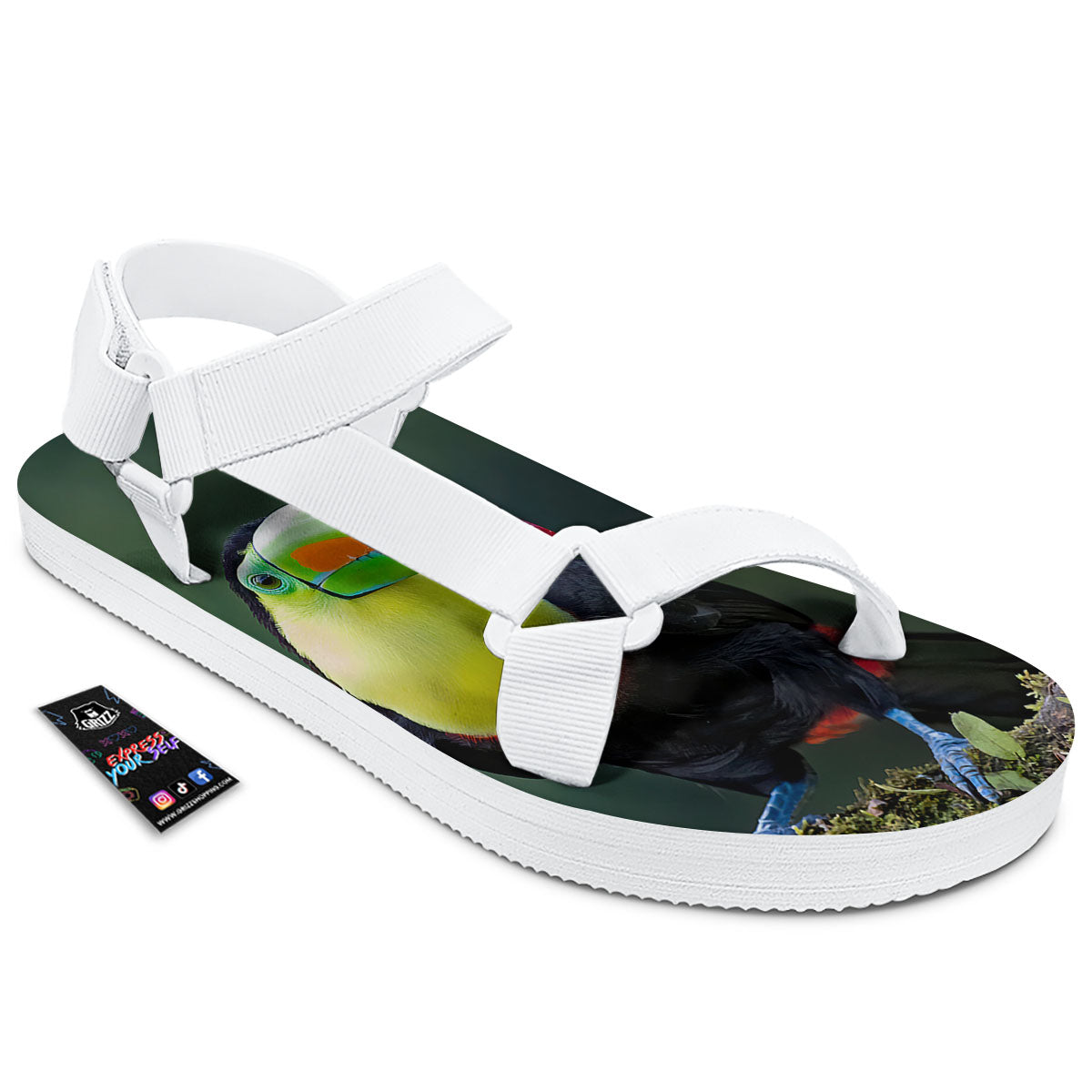 Keel-Billed Toucan Print White Open Toe Sandals-grizzshop