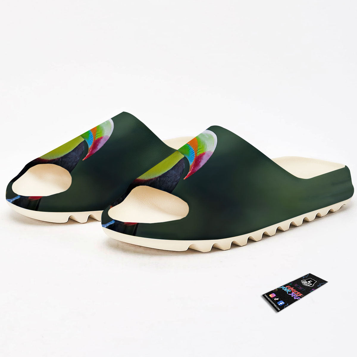 Keel-Billed Toucan Print Sandals-grizzshop