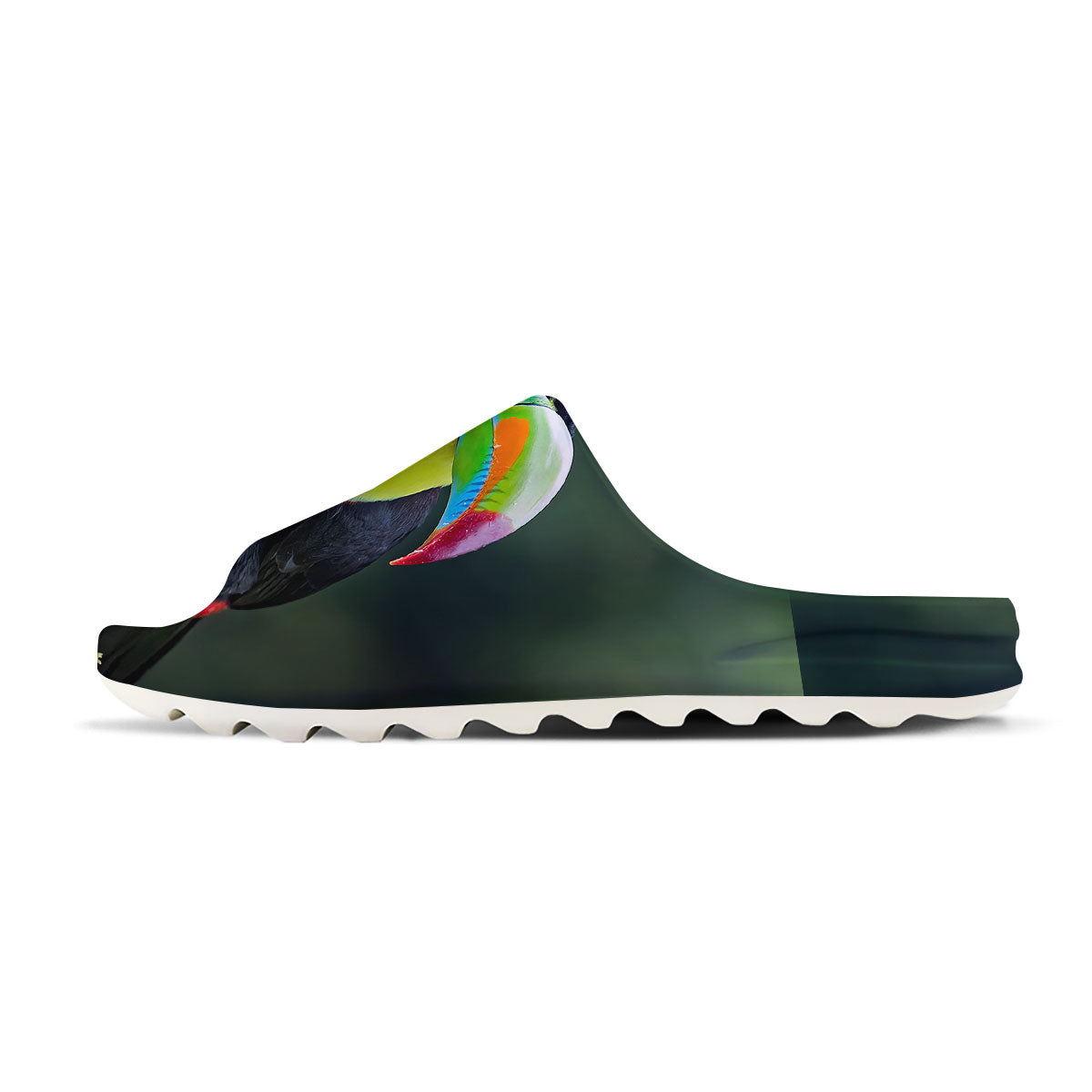 Keel-Billed Toucan Print Sandals-grizzshop