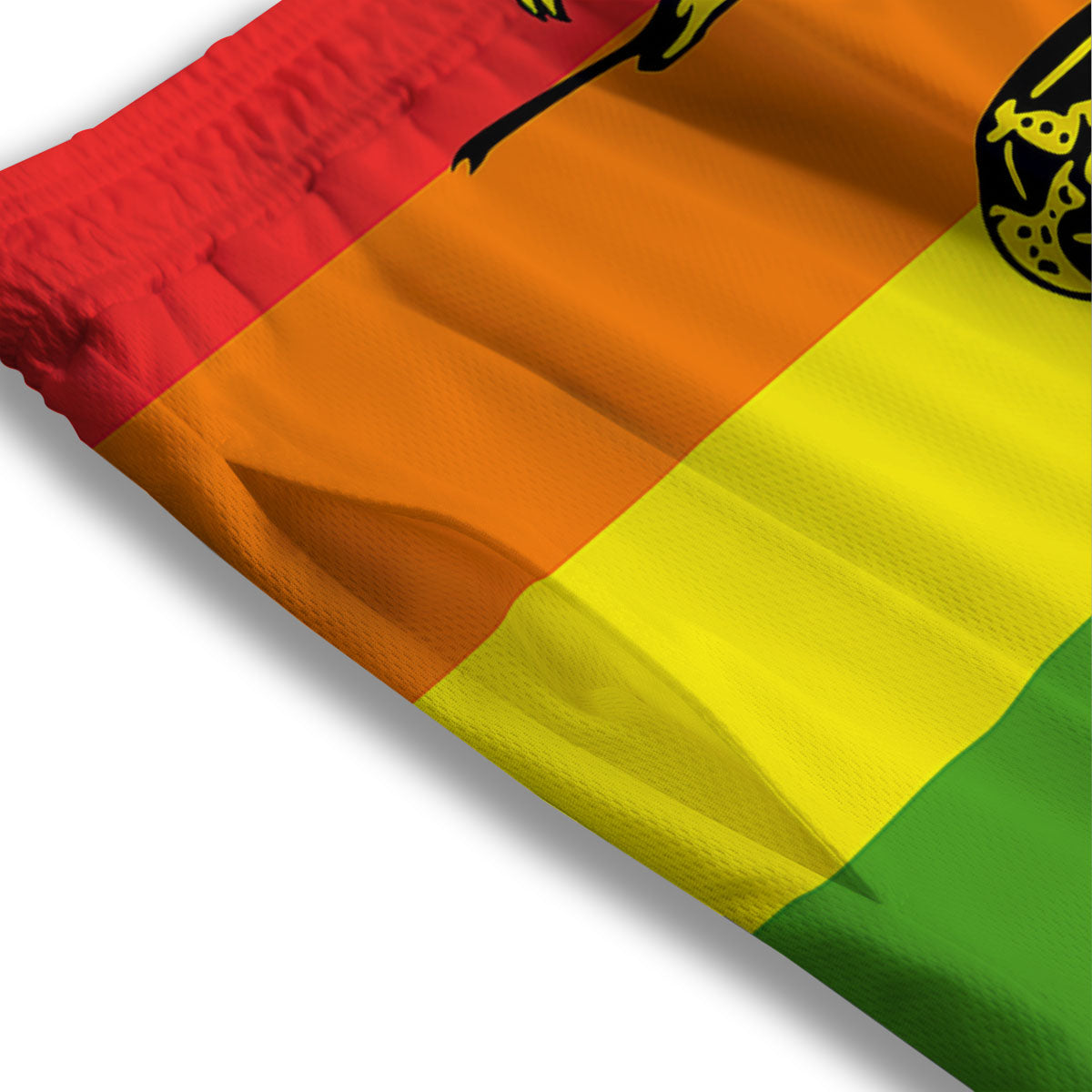 LGBT Gadsden Rainbow Flag Print Mesh Shorts