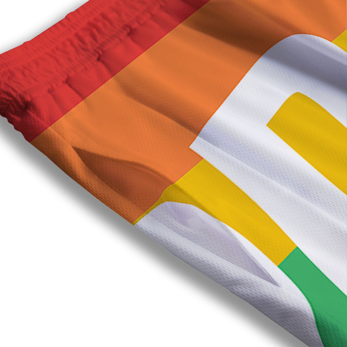LGBT Pride Flag Pattern Print Mesh Shorts