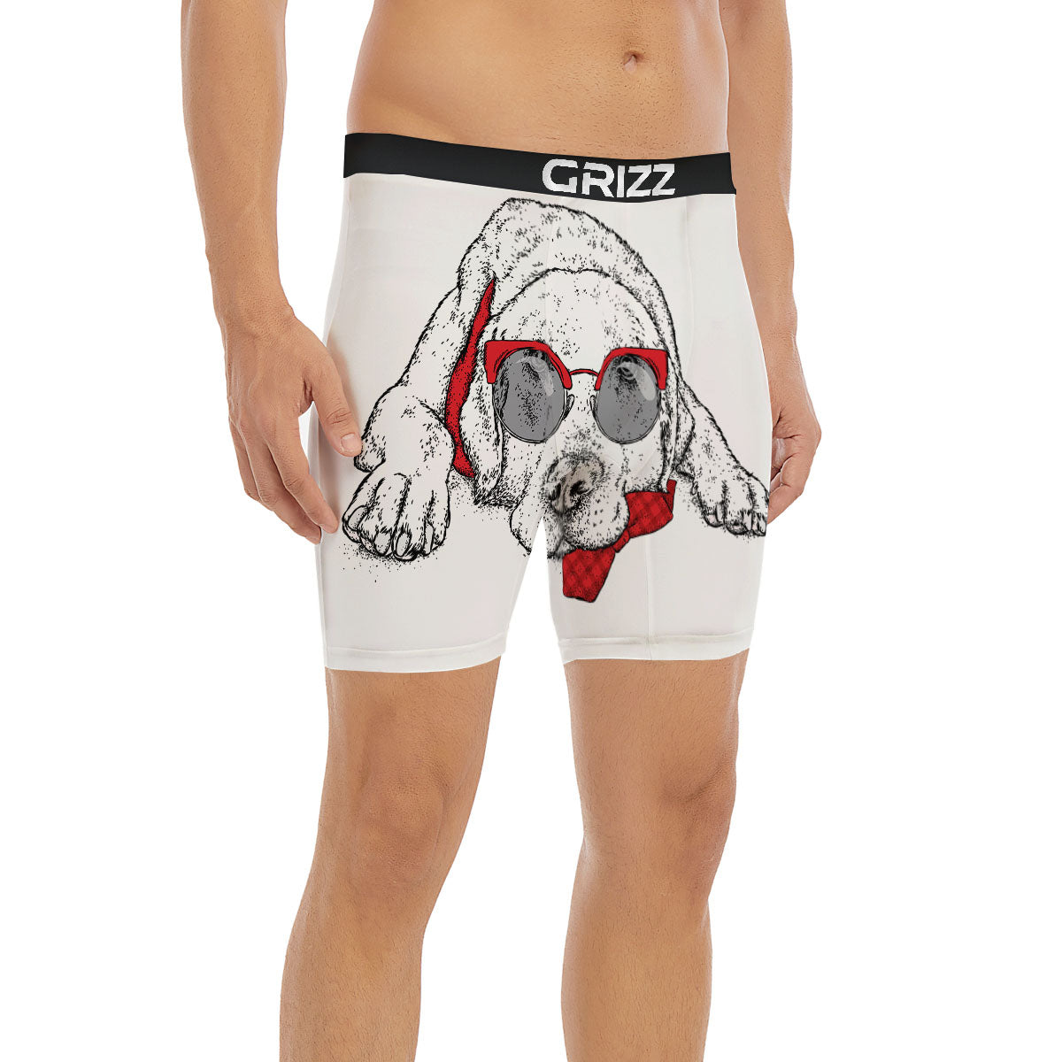 Labrador Retriever Hipster Print Boxer Briefs-grizzshop