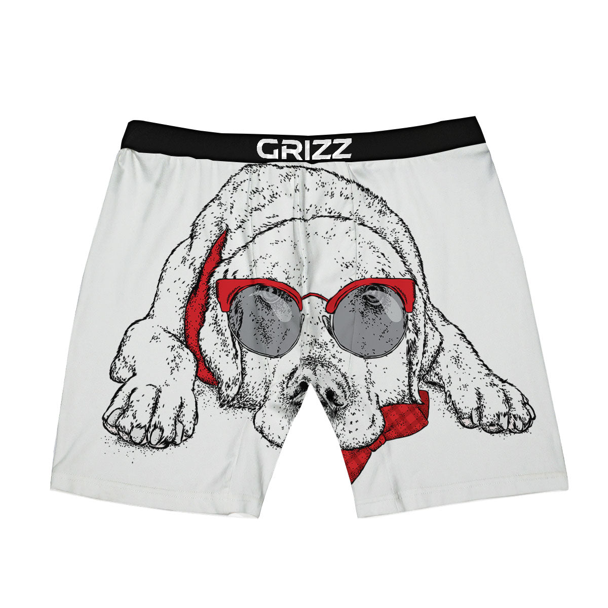 Labrador Retriever Hipster Print Boxer Briefs-grizzshop