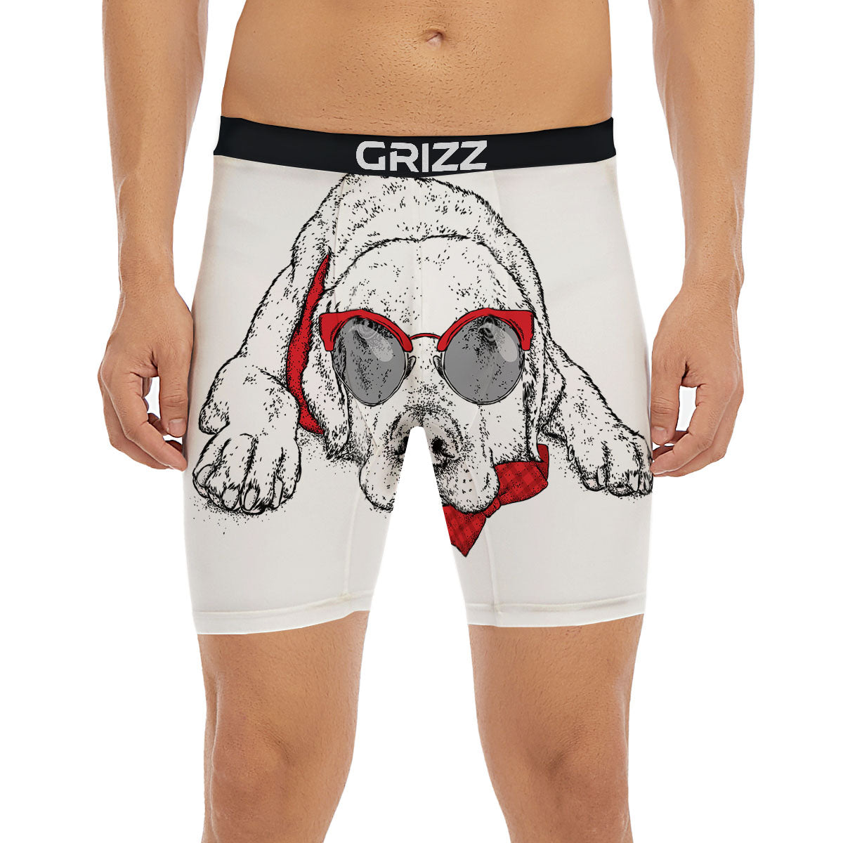 Labrador Retriever Hipster Print Boxer Briefs-grizzshop
