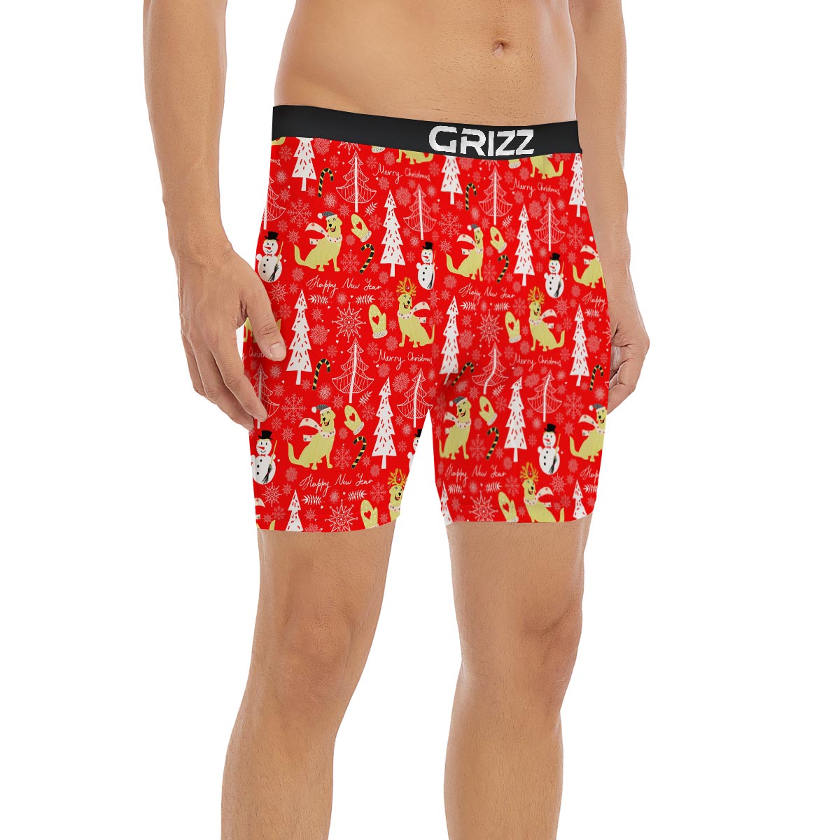 Labrador Retriever Snowman Print Pattern Boxer Briefs-grizzshop
