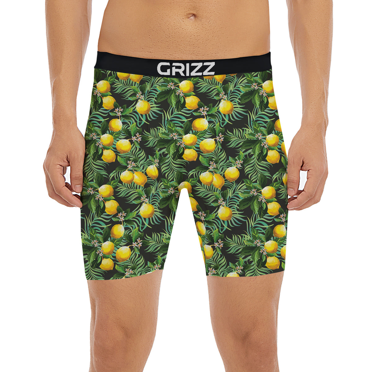Lemon Tropical Print Pattern Boxer Briefs-grizzshop