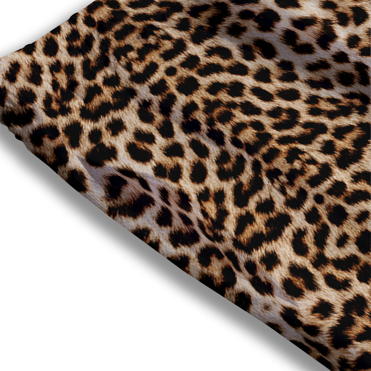 Leopard Pattern Mesh Shorts