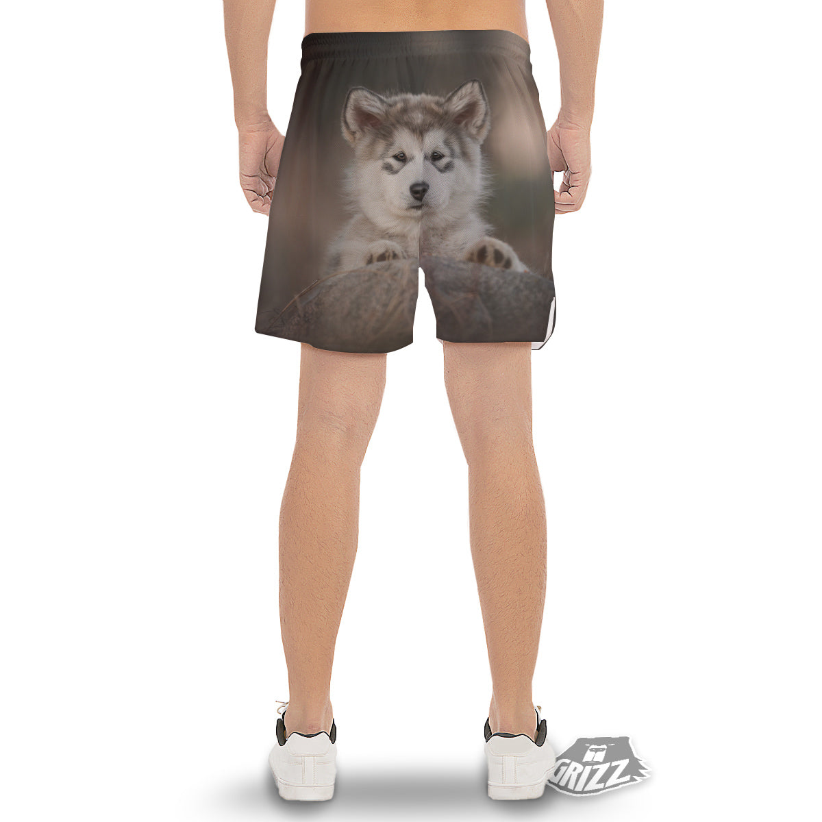 Malamute Alaskan Cute Print Men's Gym Shorts-grizzshop