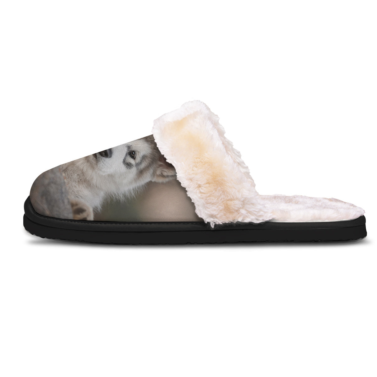 Malamute Alaskan Cute Print Slippers-grizzshop