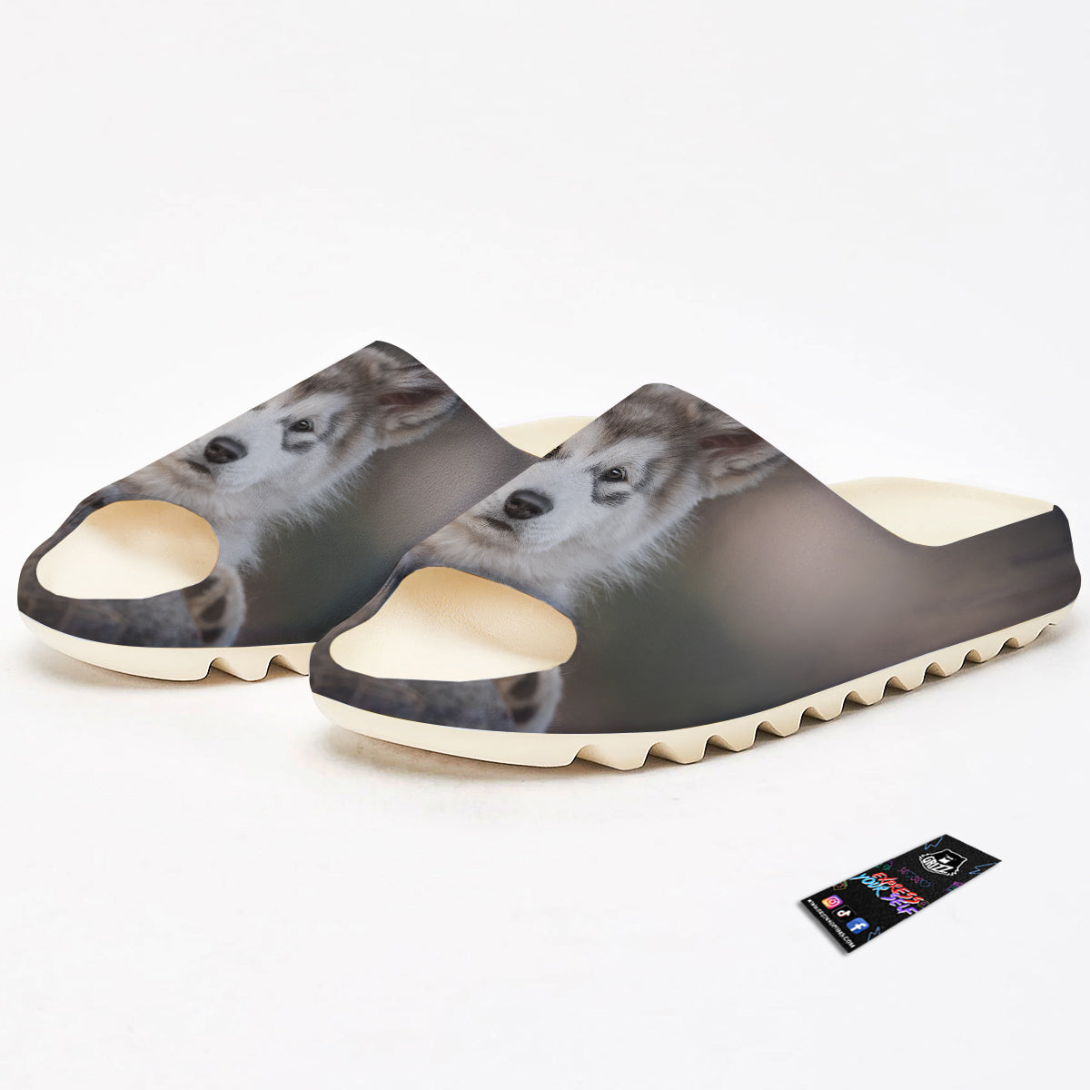 Malamute Alaskan Cute Print Sandals