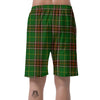 Newfoundland Tartan Green Plaid Men's Shorts-grizzshop