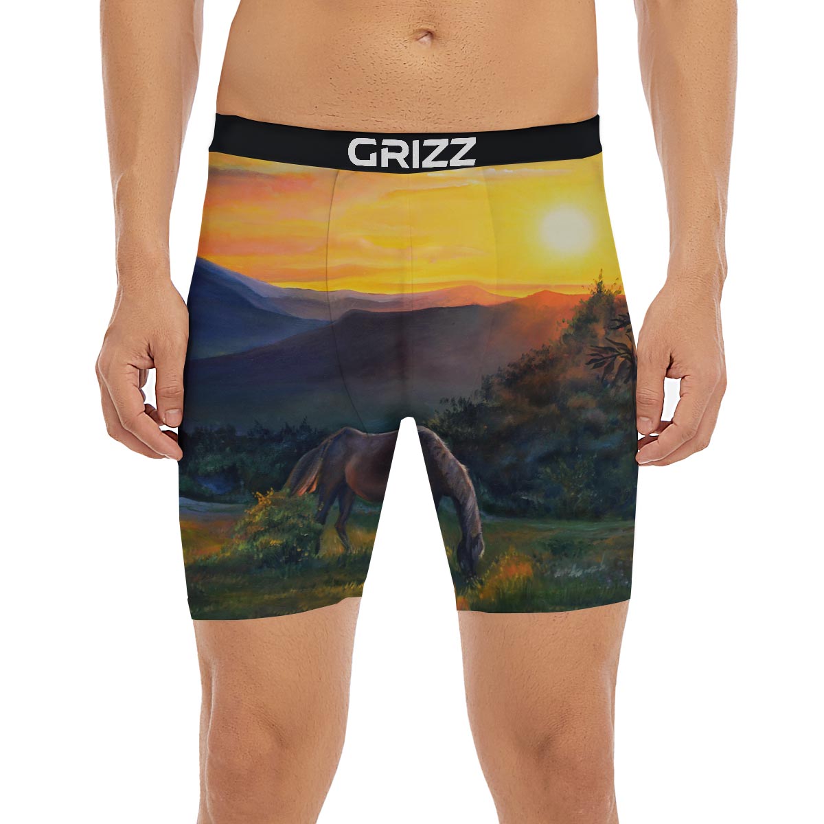 Painting Sunset Horse Print Boxer Briefs-grizzshop