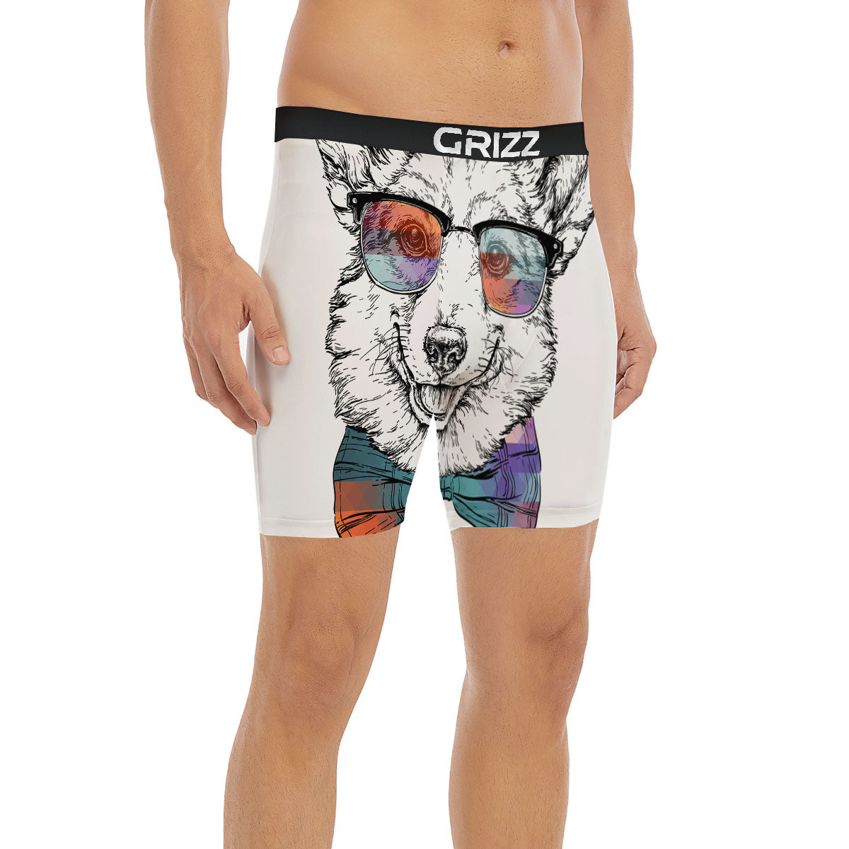 Pembroke Welsh Corgi Hipster Print Boxer Briefs-grizzshop