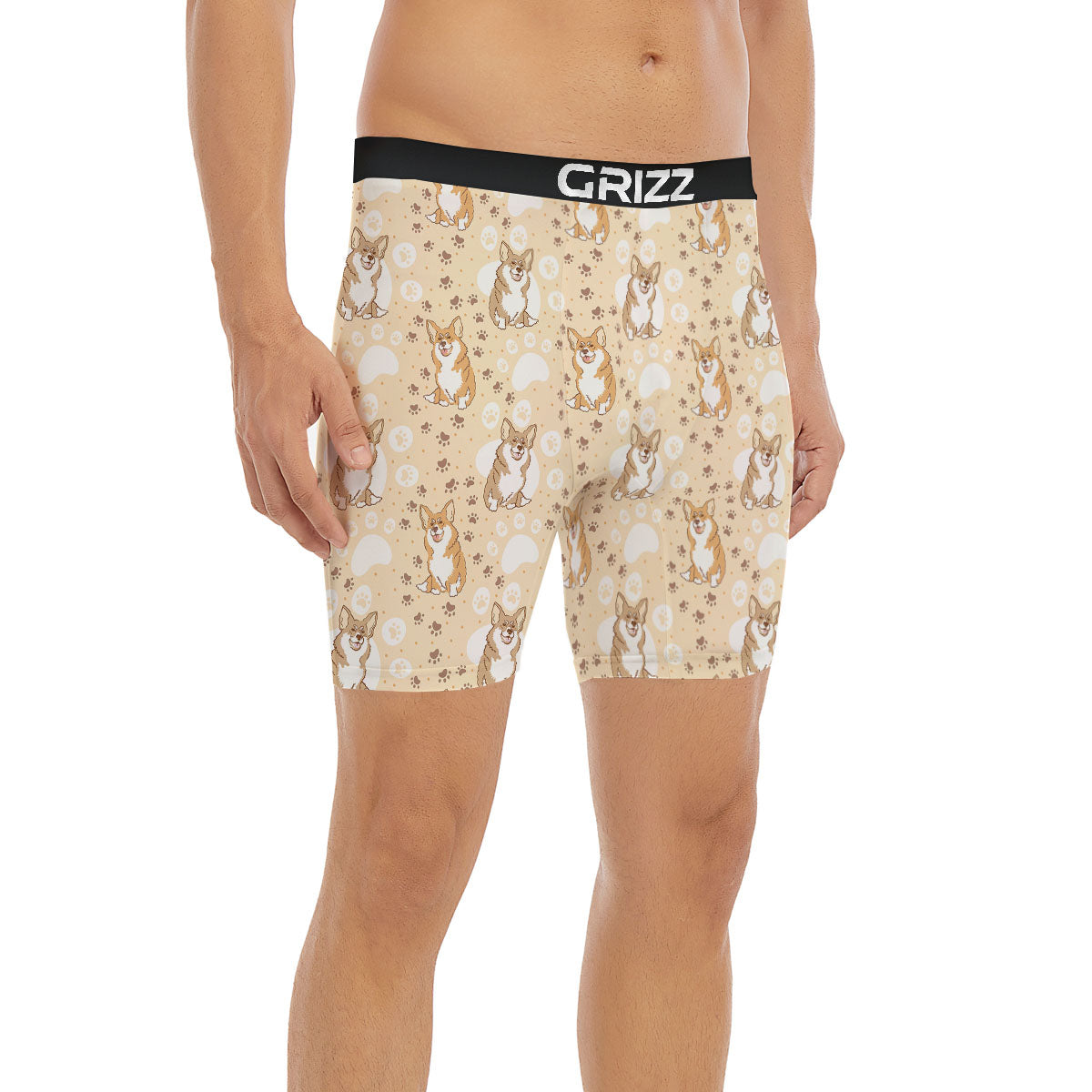 Pembroke Welsh Corgi Print Pattern Boxer Briefs-grizzshop