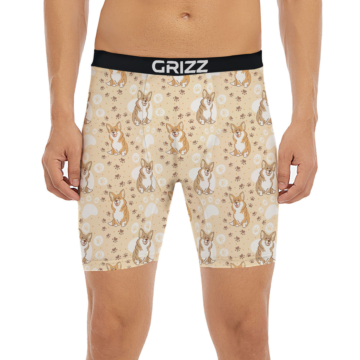 Pembroke Welsh Corgi Print Pattern Boxer Briefs-grizzshop