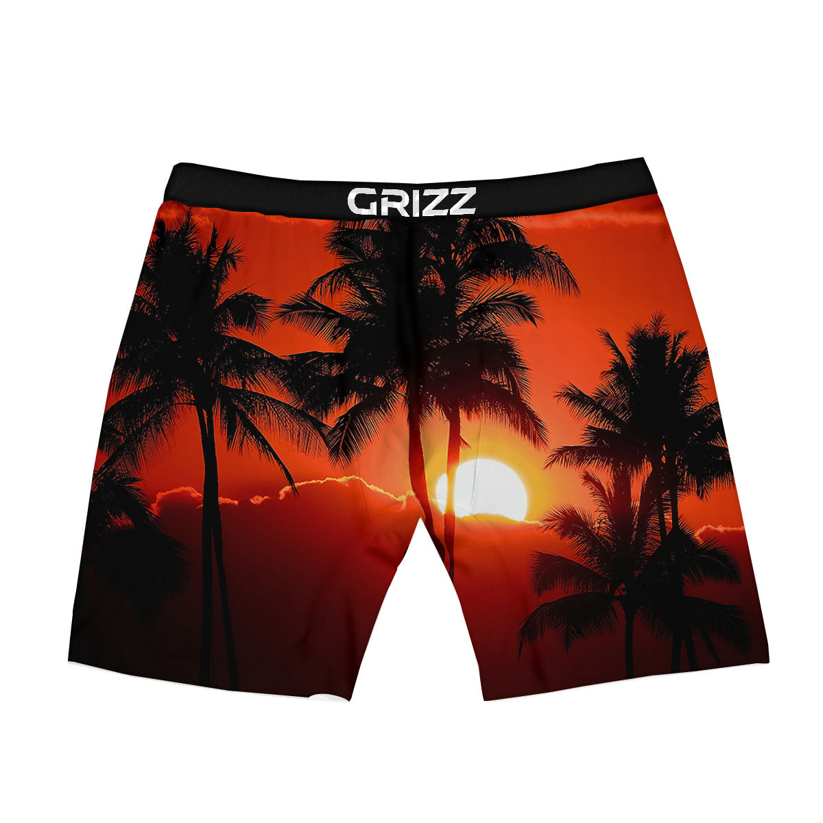Plam Tree Sunset Tropical Print Boxer Briefs-grizzshop