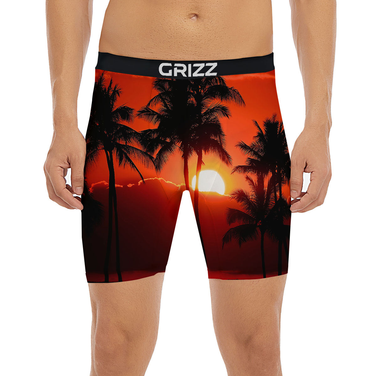 Plam Tree Sunset Tropical Print Boxer Briefs-grizzshop