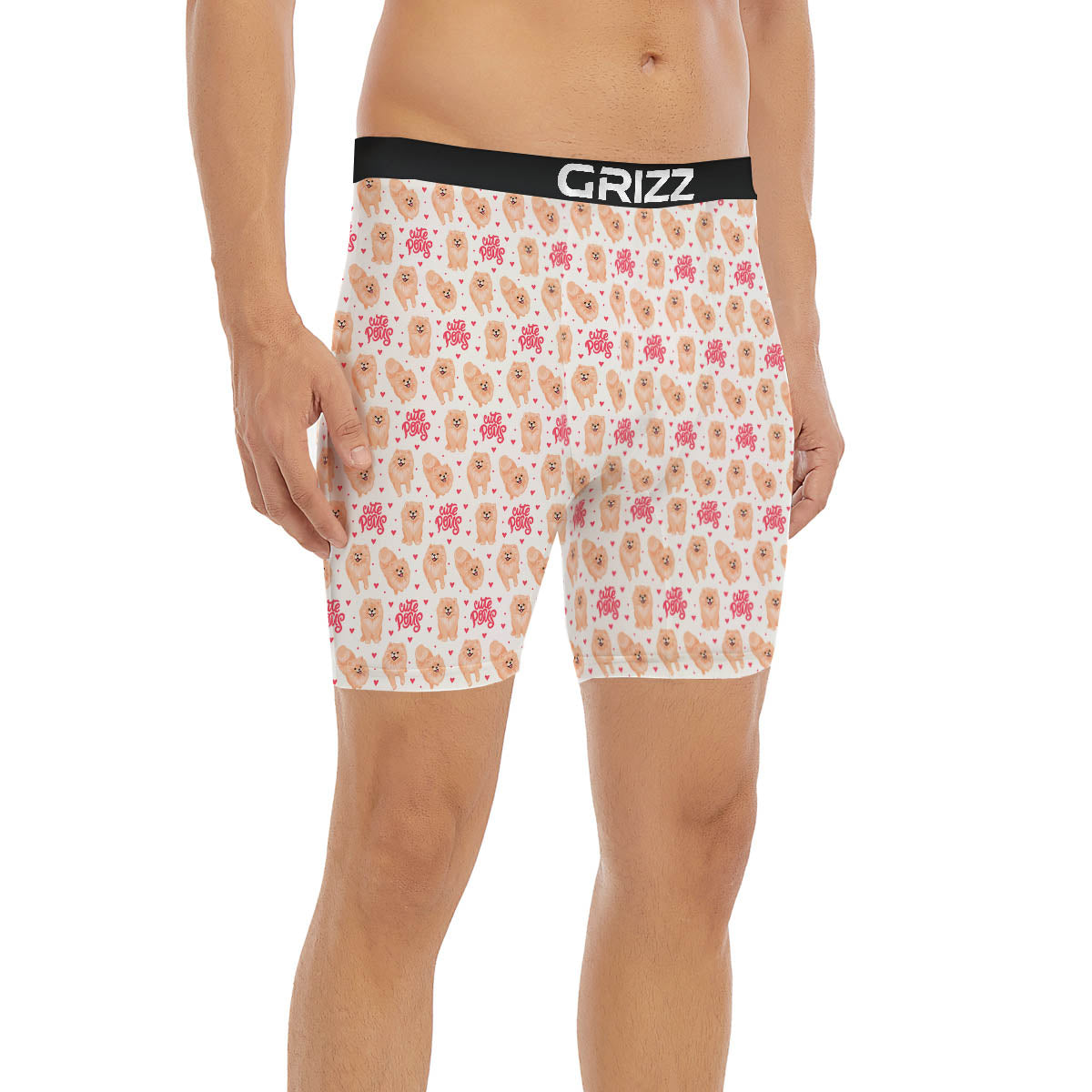 Pomeranian Cartoon Print Pattern Boxer Briefs-grizzshop