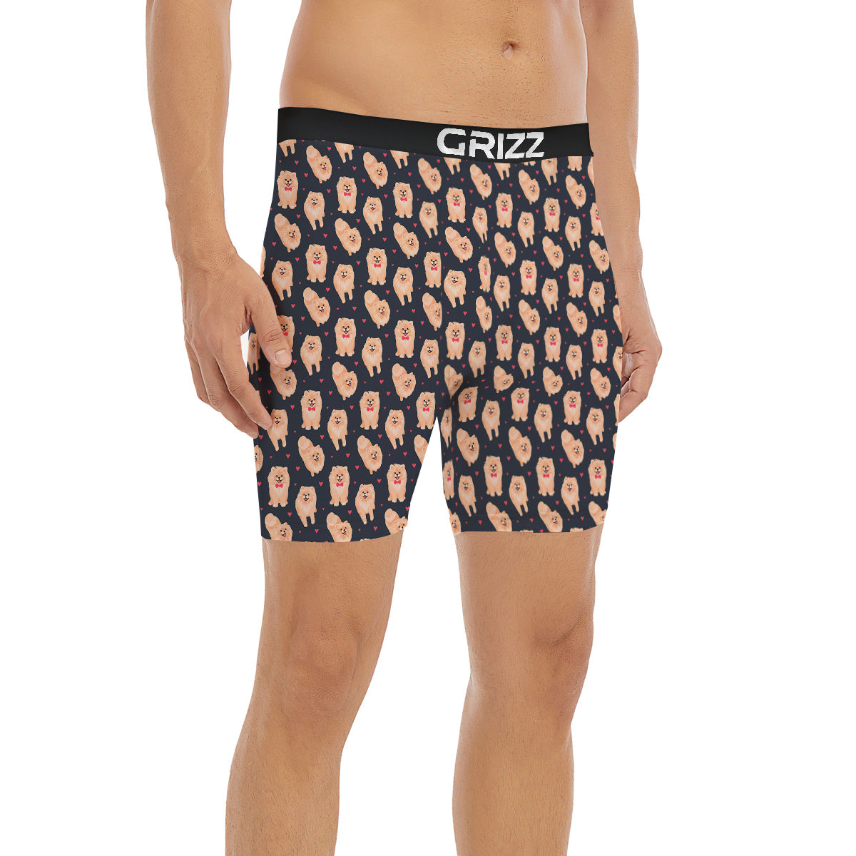 Pomeranian Cute Print Pattern Boxer Briefs-grizzshop