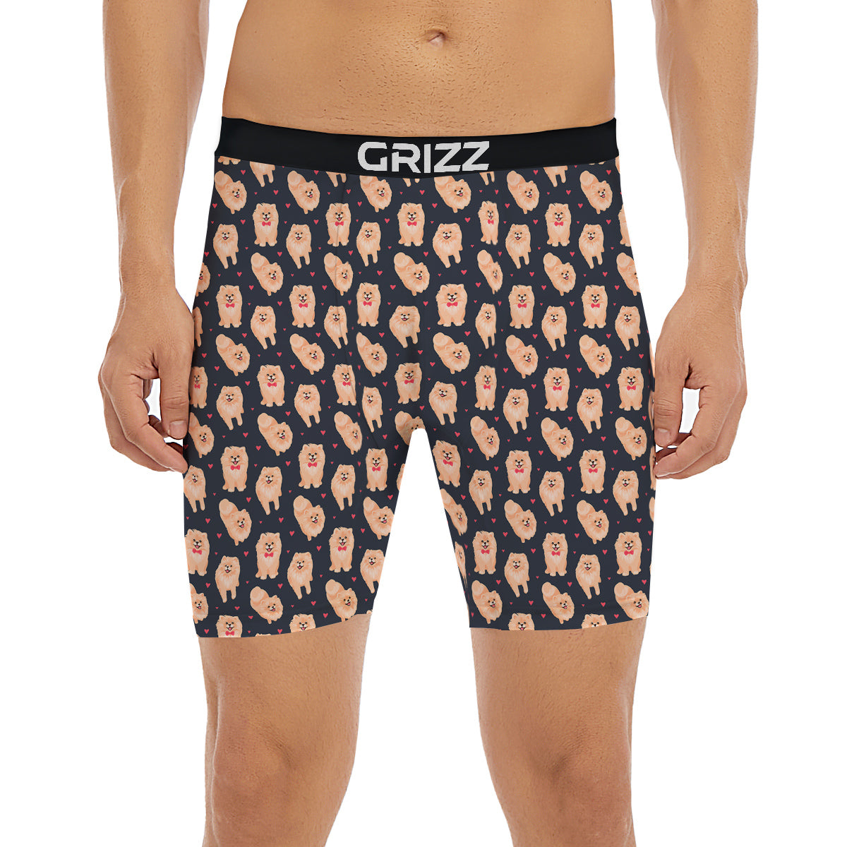 Pomeranian Cute Print Pattern Boxer Briefs-grizzshop