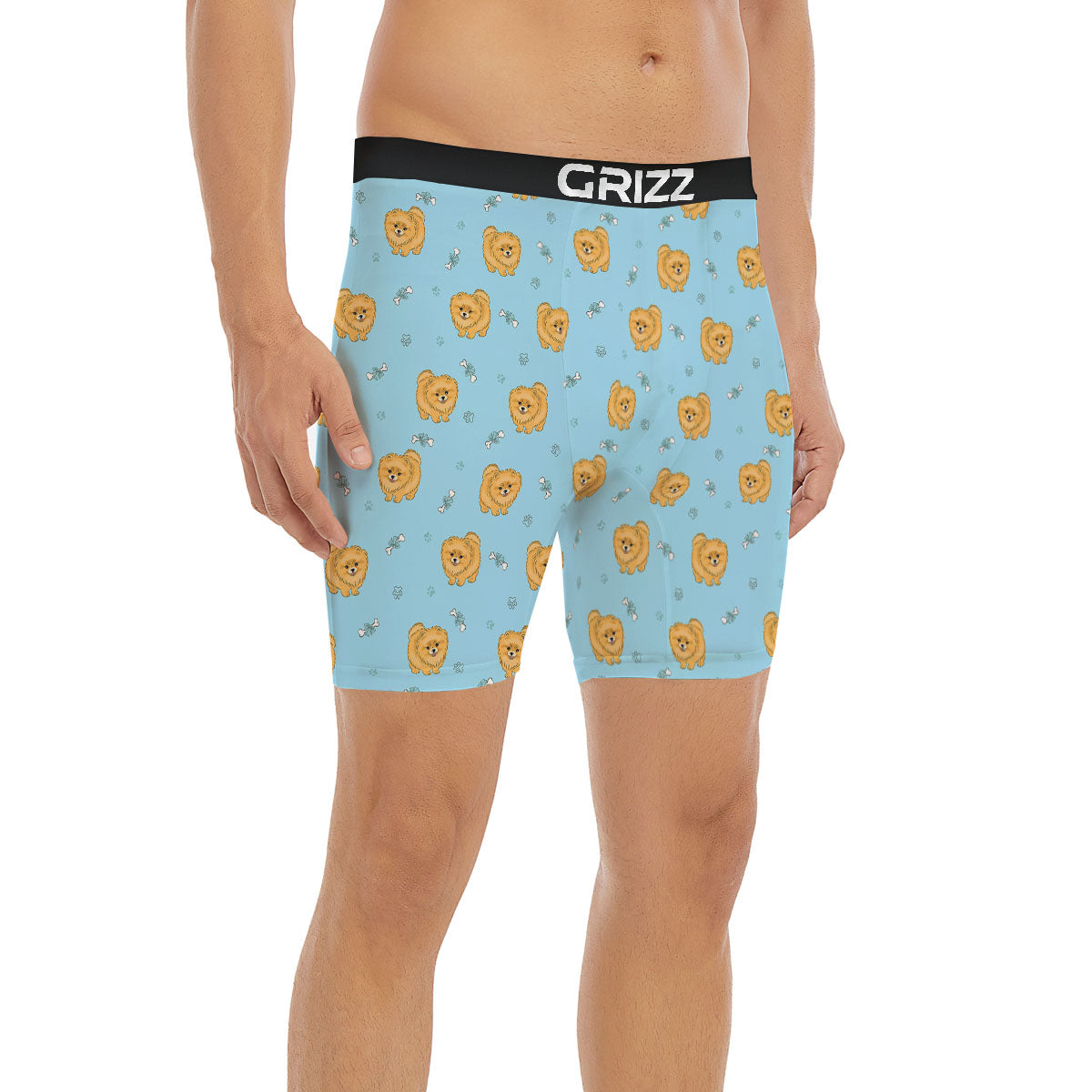 Pomeranian Little Print Pattern Boxer Briefs-grizzshop