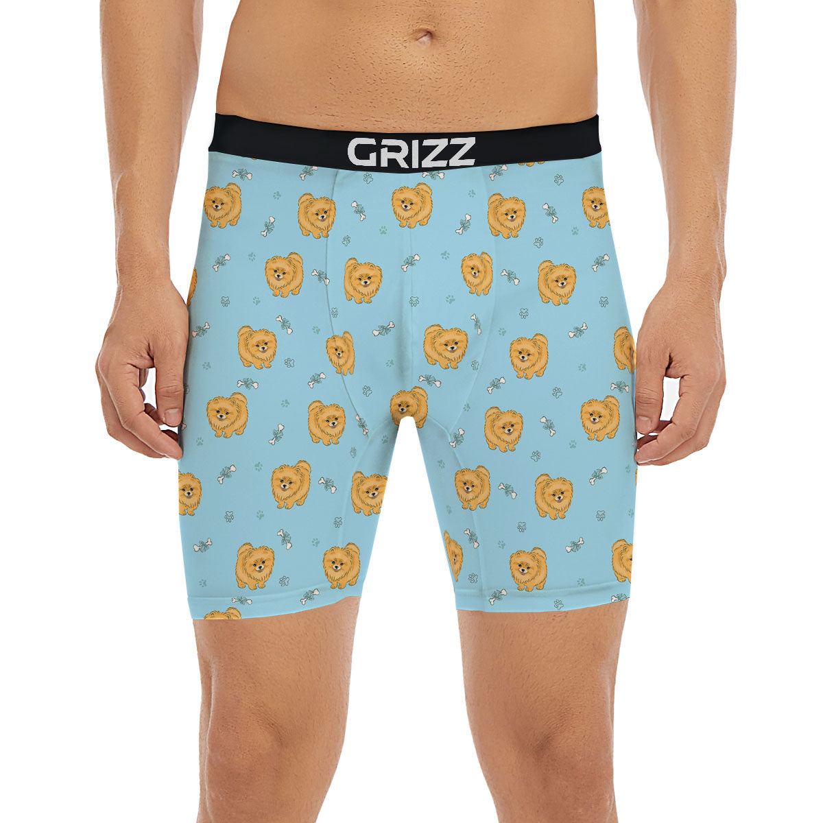 Pomeranian Little Print Pattern Boxer Briefs-grizzshop