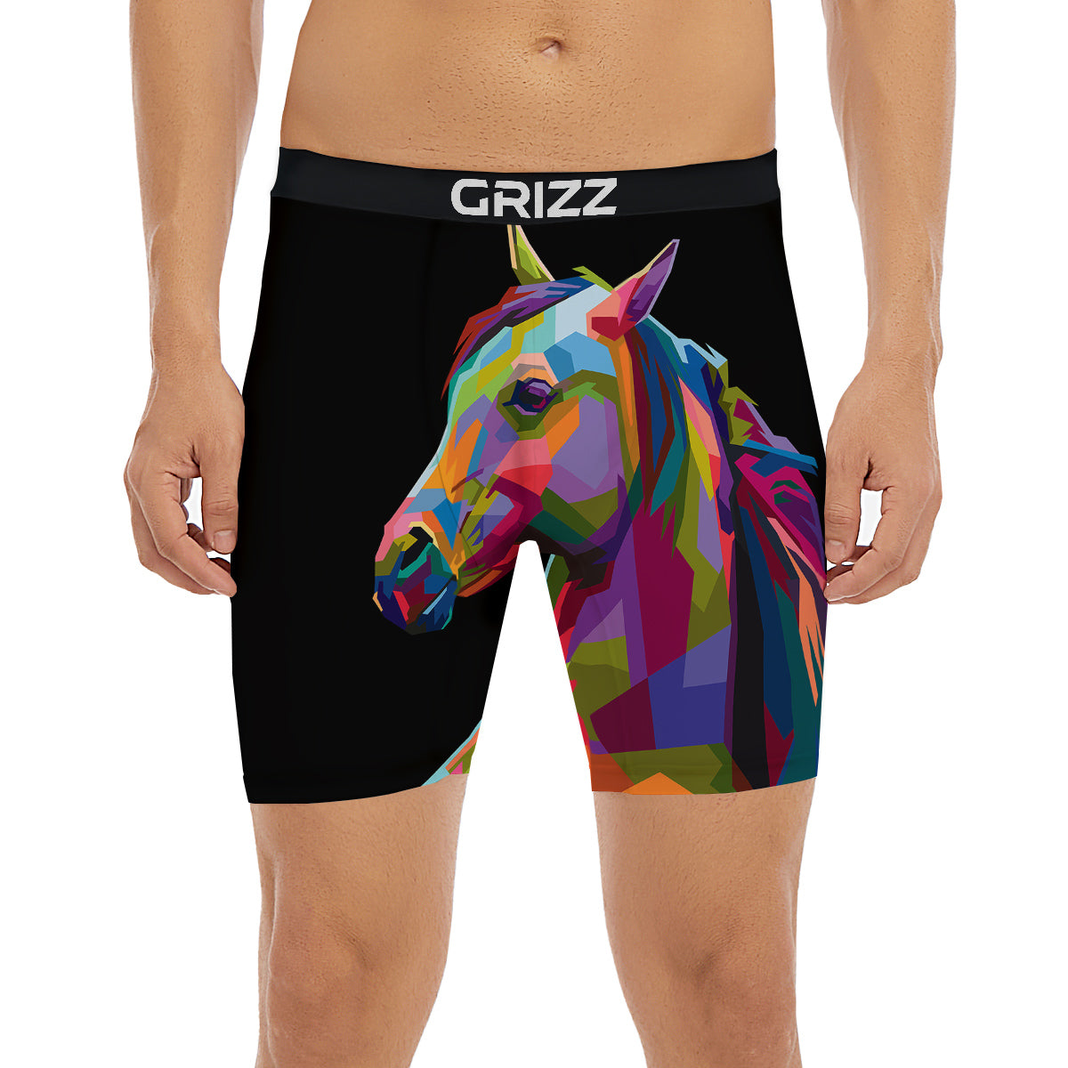 Portrait Horse Colorful Print Boxer Briefs-grizzshop