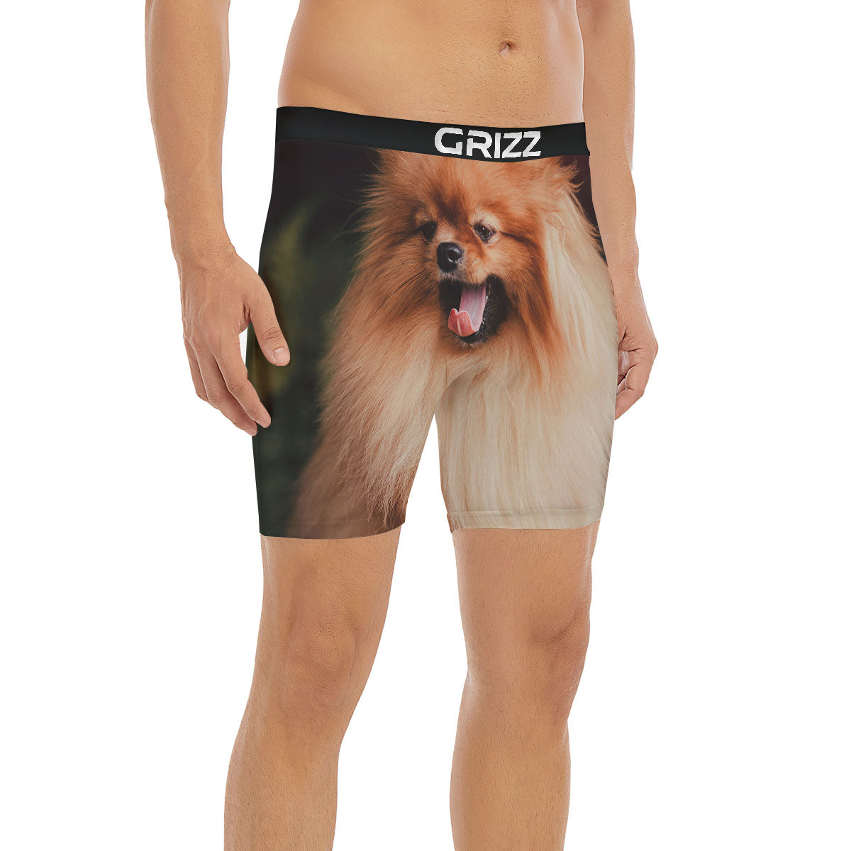 Portrait Vintage Pomeranian Boxer Briefs-grizzshop