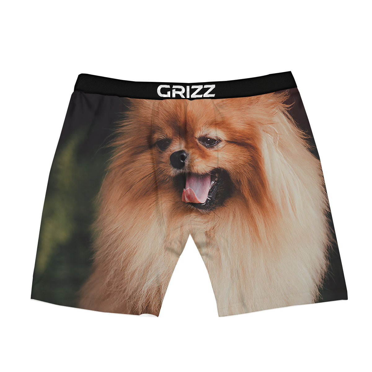 Portrait Vintage Pomeranian Boxer Briefs-grizzshop