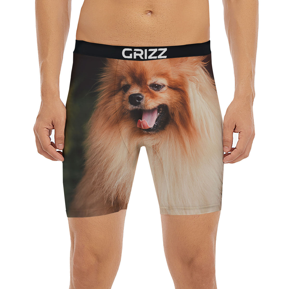 Portrait Vintage Pomeranian Boxer Briefs-grizzshop