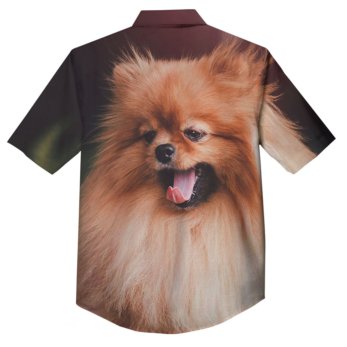 Portrait Vintage Pomeranian Button Up Shirt-grizzshop