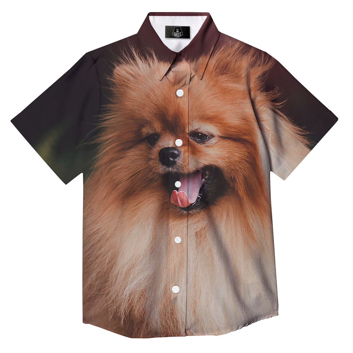 Portrait Vintage Pomeranian Button Up Shirt-grizzshop
