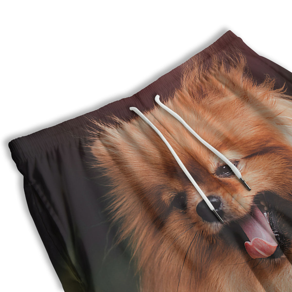 Portrait Vintage Pomeranian Men's Athletic Shorts