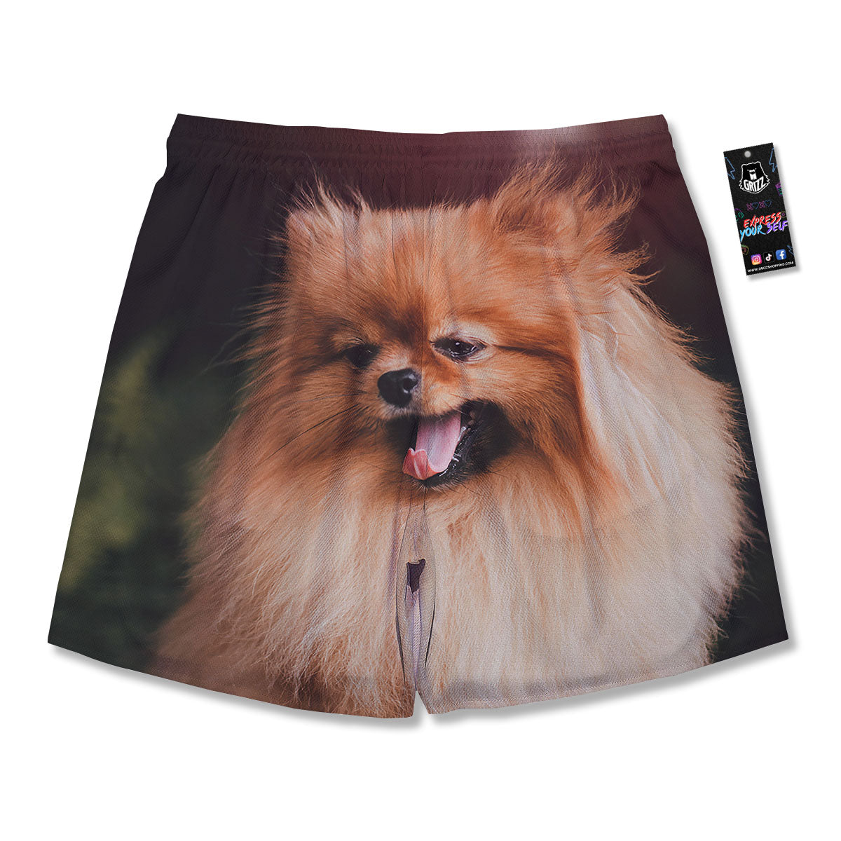 Portrait Vintage Pomeranian Men's Running Shorts-grizzshop