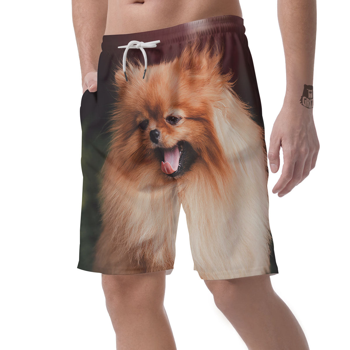 Portrait Vintage Pomeranian Men's Shorts-grizzshop