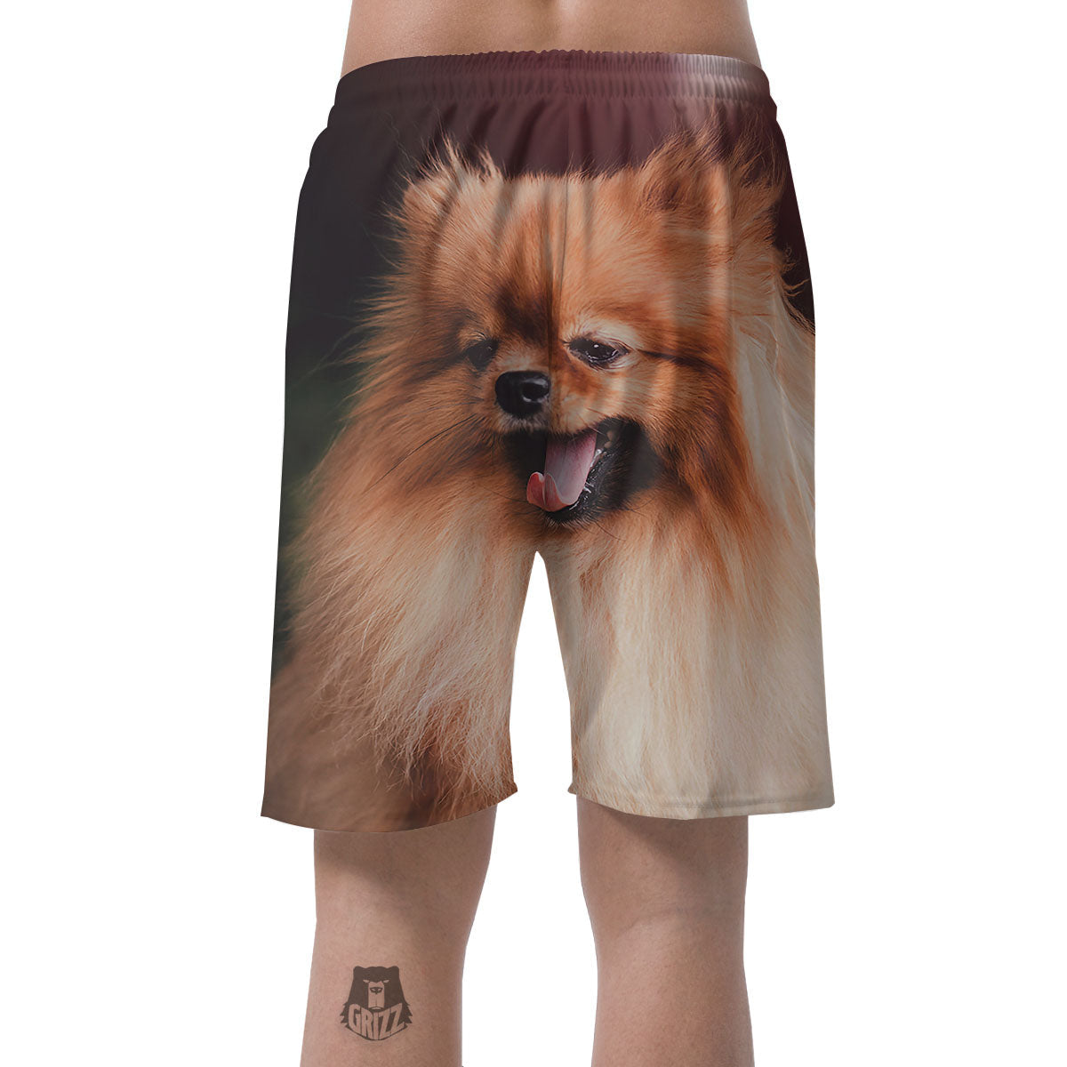 Portrait Vintage Pomeranian Men's Shorts-grizzshop