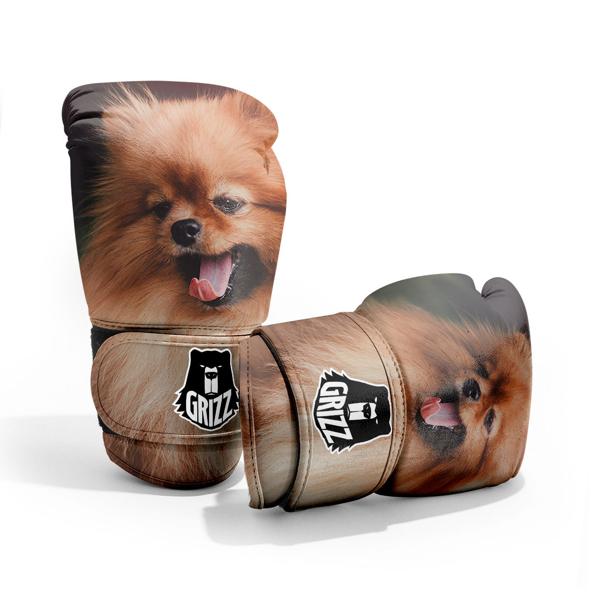 Portrait Vintage Pomeranian Pro Boxing Glove