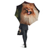 Portrait Vintage Pomeranian Umbrella-grizzshop