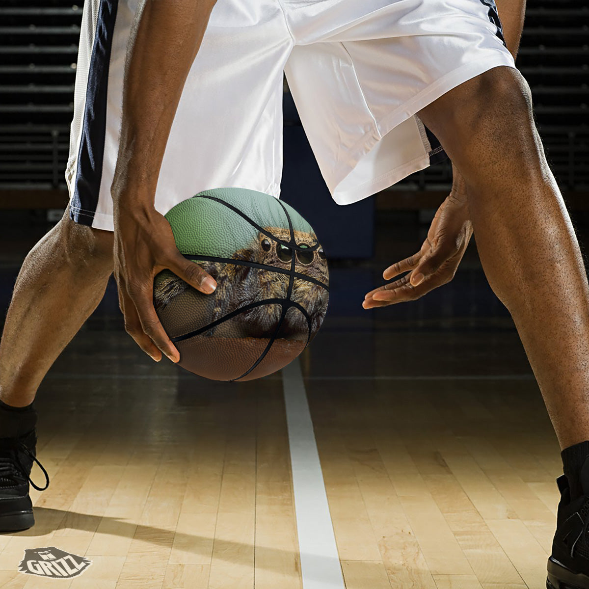 Portrait Spider Print Basketball