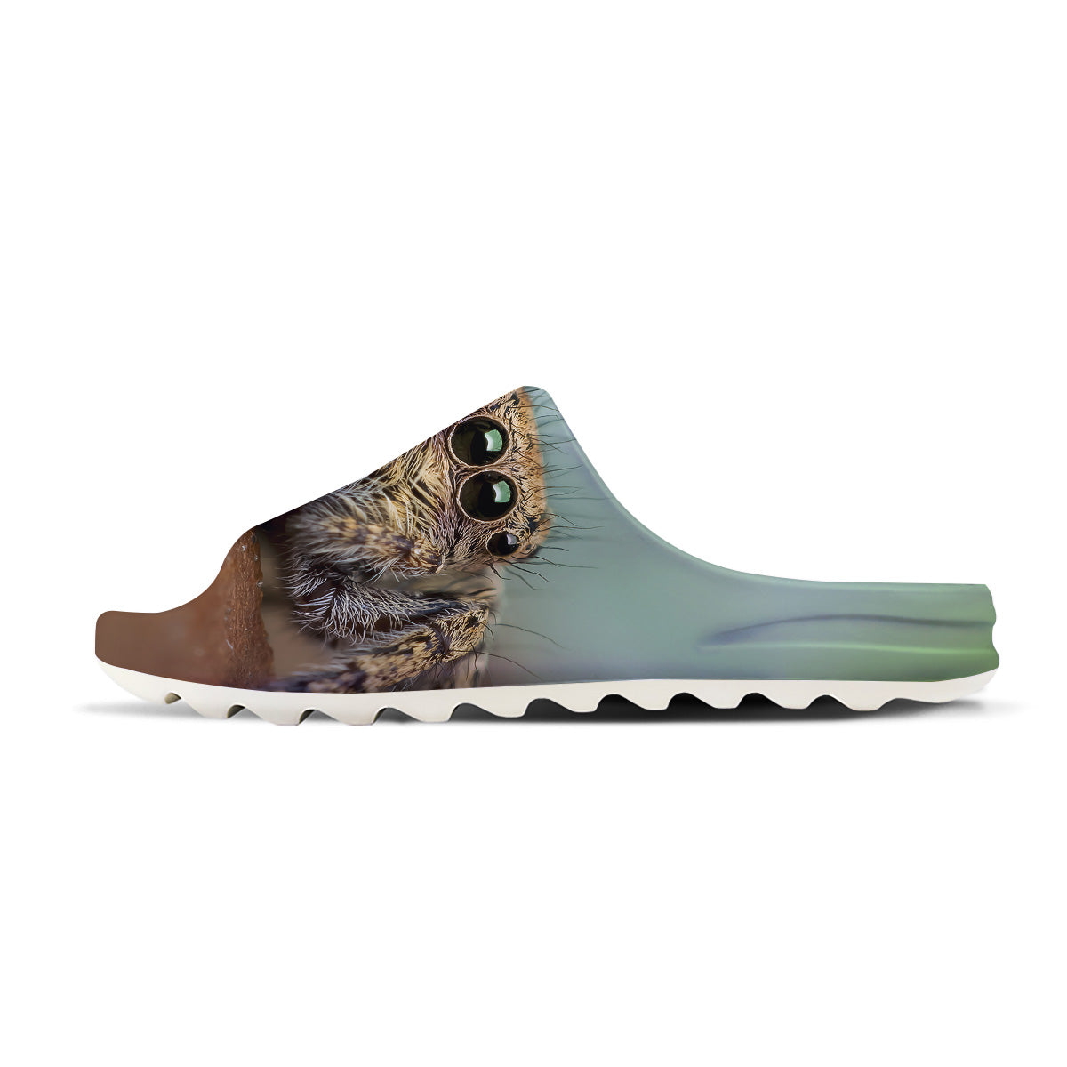 Portrait Spider Print Sandals-grizzshop