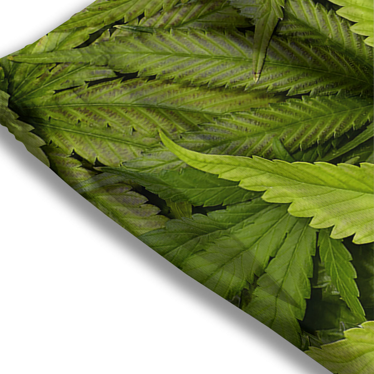 Pot Leaf Green Print Mesh Shorts