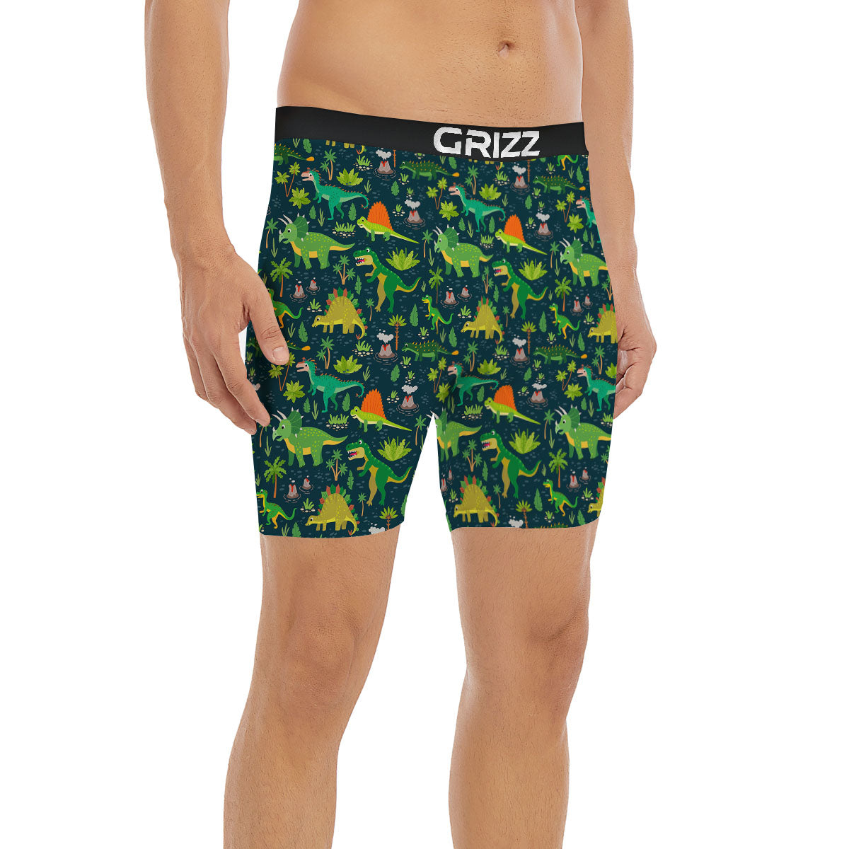 Prehistoric Plants And Dinosaur Print Boxer Briefs-grizzshop