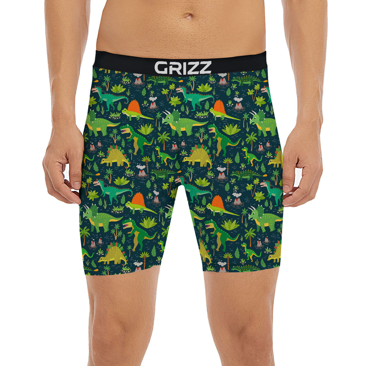 Prehistoric Plants And Dinosaur Print Boxer Briefs-grizzshop