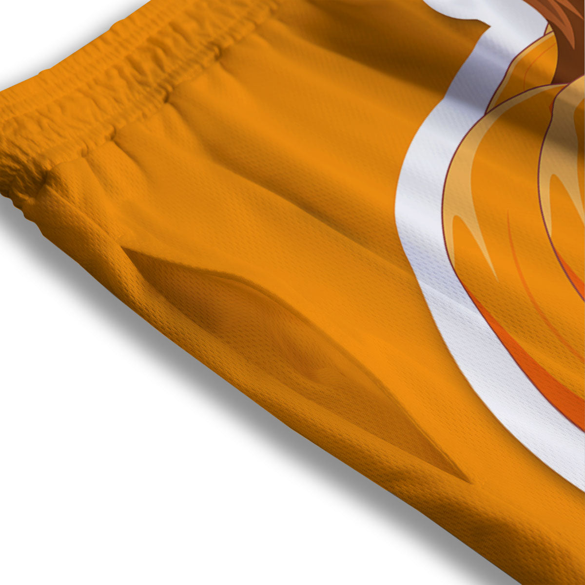 Pumpkin Print Mesh Shorts