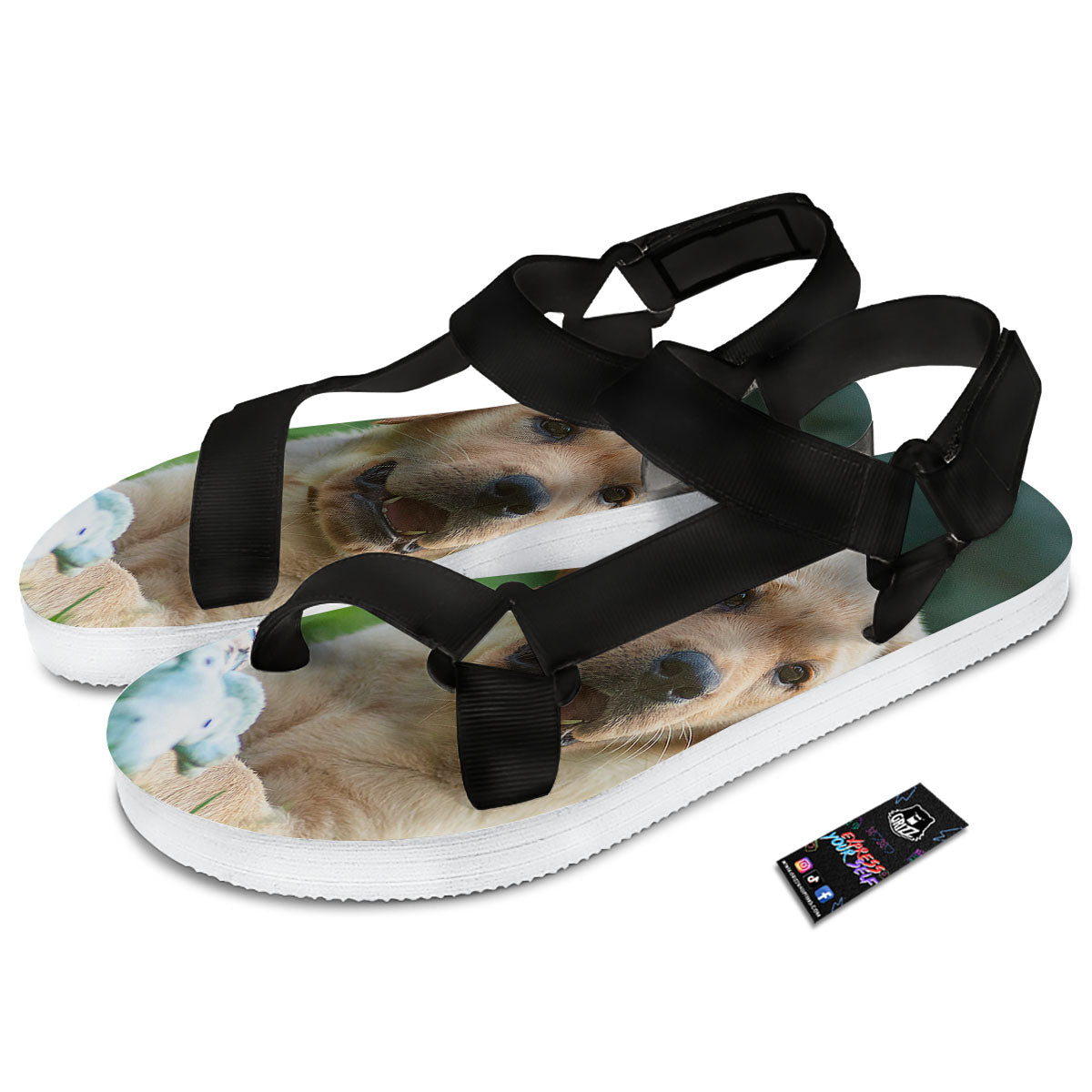 Puppy And Labrador Retriever Print Black Open Toe Sandals-grizzshop