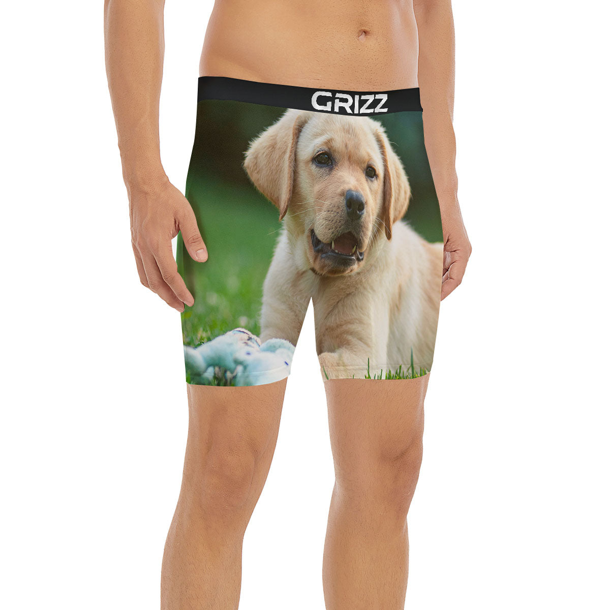 Puppy And Labrador Retriever Print Boxer Briefs-grizzshop