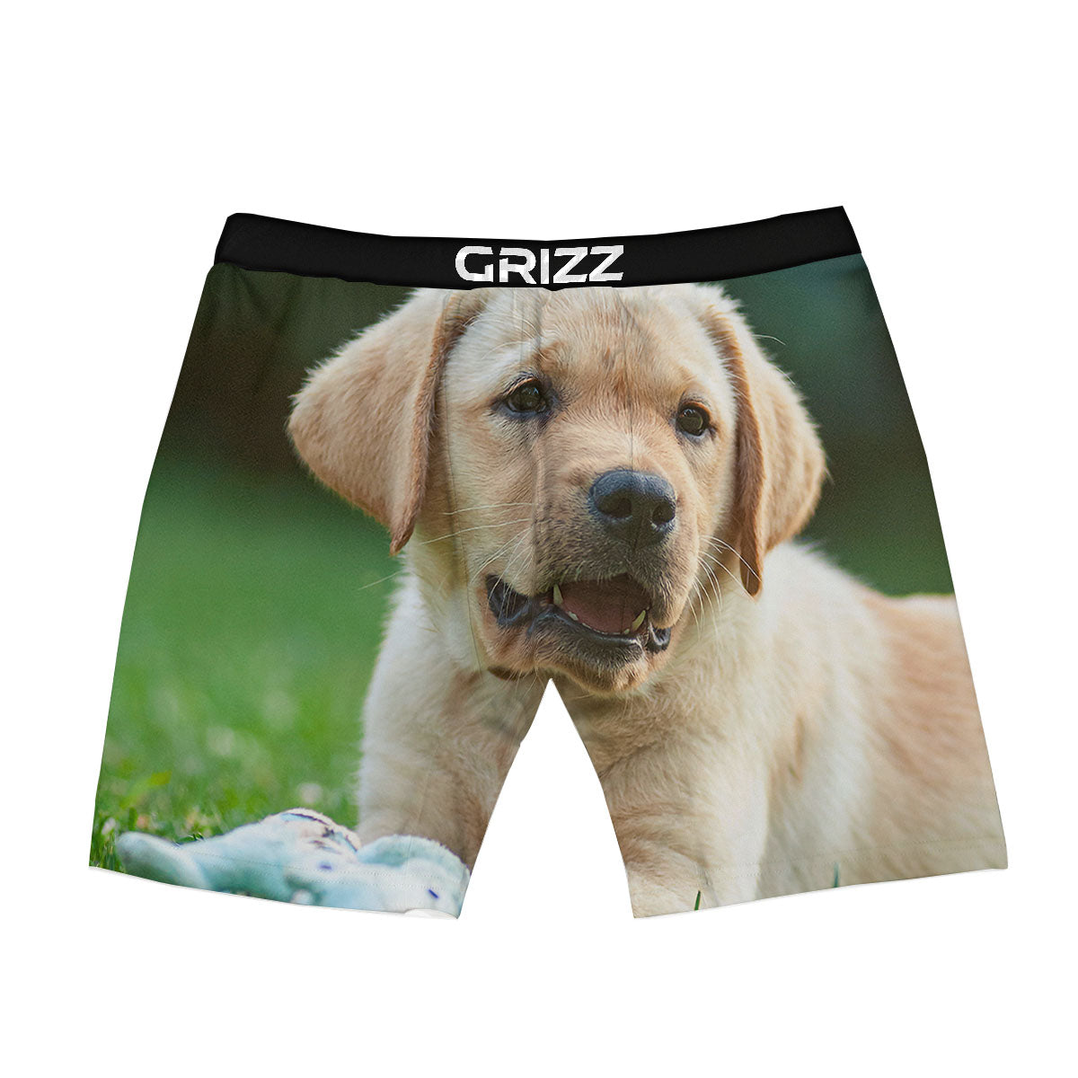 Puppy And Labrador Retriever Print Boxer Briefs-grizzshop